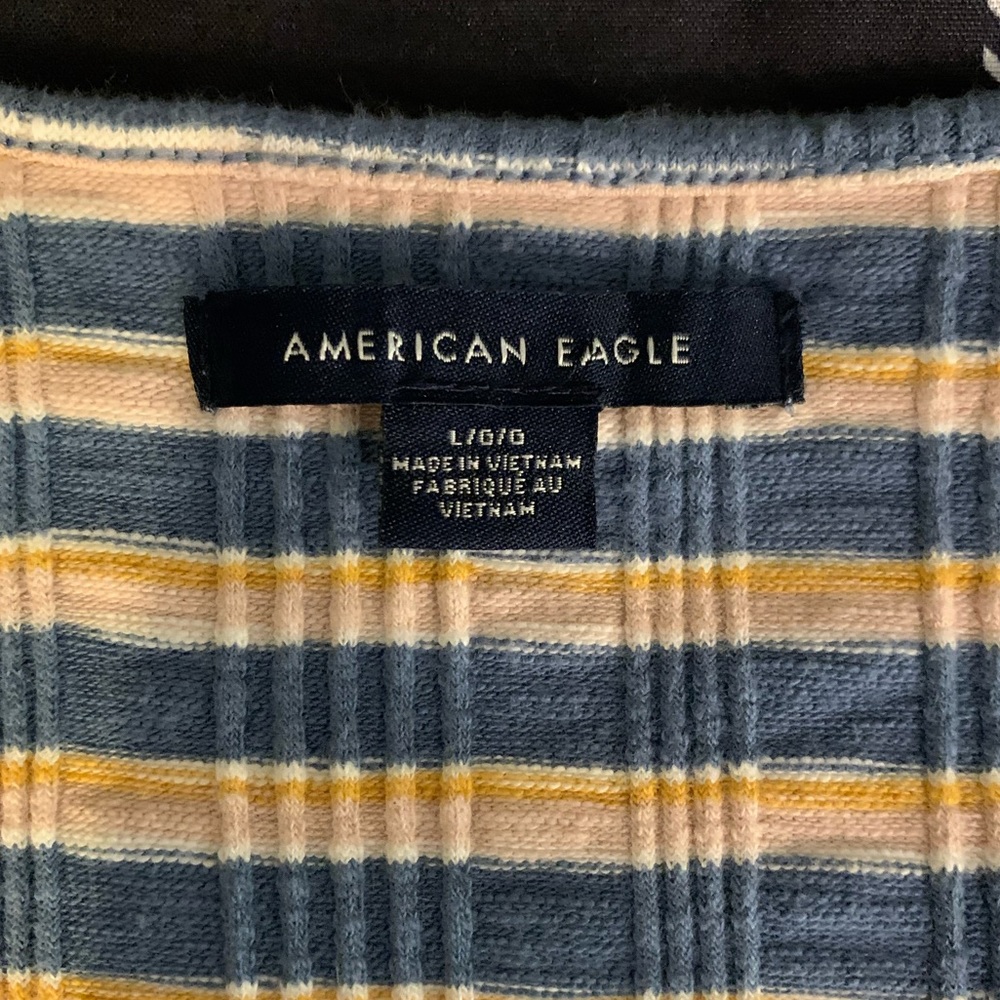 American Eagle Crop Top